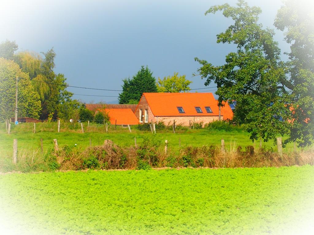 Archipel Holiday Cottage Ellezelles Exterior foto